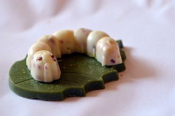 【画像】綺麗・かわいいチョコレート