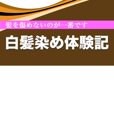 白髪染め体験記。髪を傷めないで染めることができました。