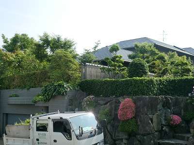 芸能人の自宅公開