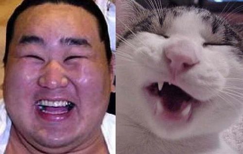 動物の癒し系画像トピ