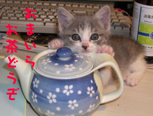 平和な人が集まるトピ