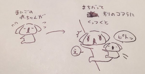 自分なりの健康法