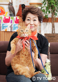 友近が“無礼なトーク”で黒柳徹子をイラ立たせ「共演NG」に！