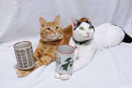 平和な人が集まるトピ