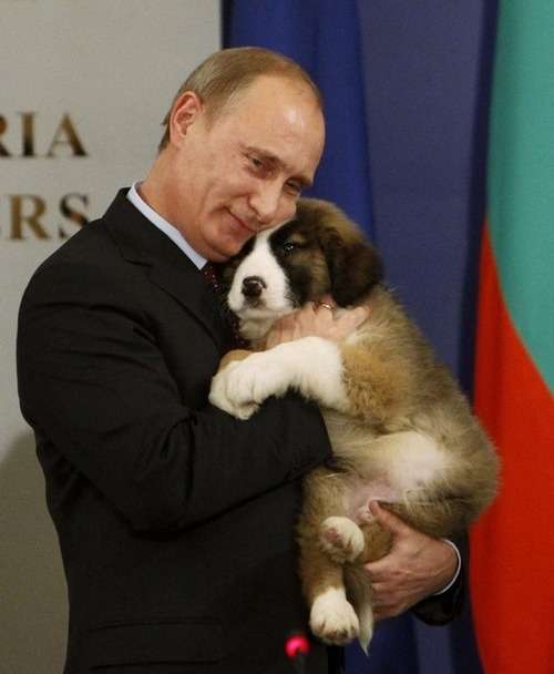 プーチン好きな人、画像貼るトピ