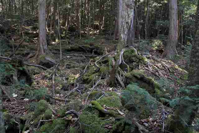 【閲覧注意】日本で絶対に行ってはいけない場所
