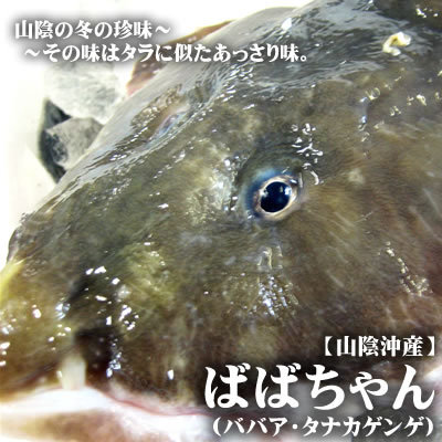 がるチャンを一言で紹介するトピ
