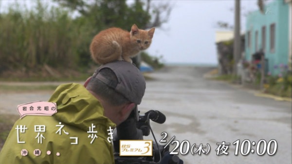 《画像》笑える動物の写真