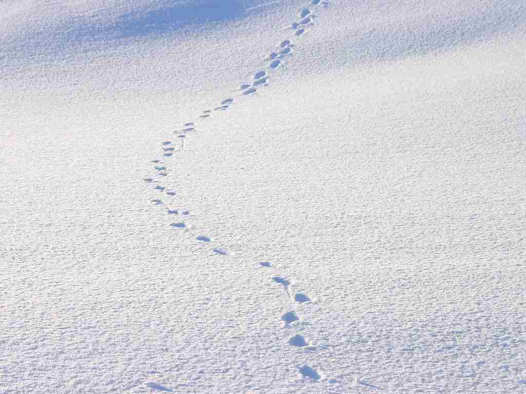 雪で遅刻、許される？