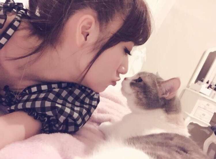 涙が出るほど可愛い…たかみなの愛猫“にゃーちゃん”まとめ