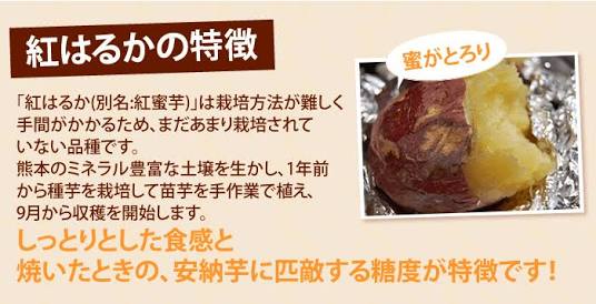 息抜きトピ