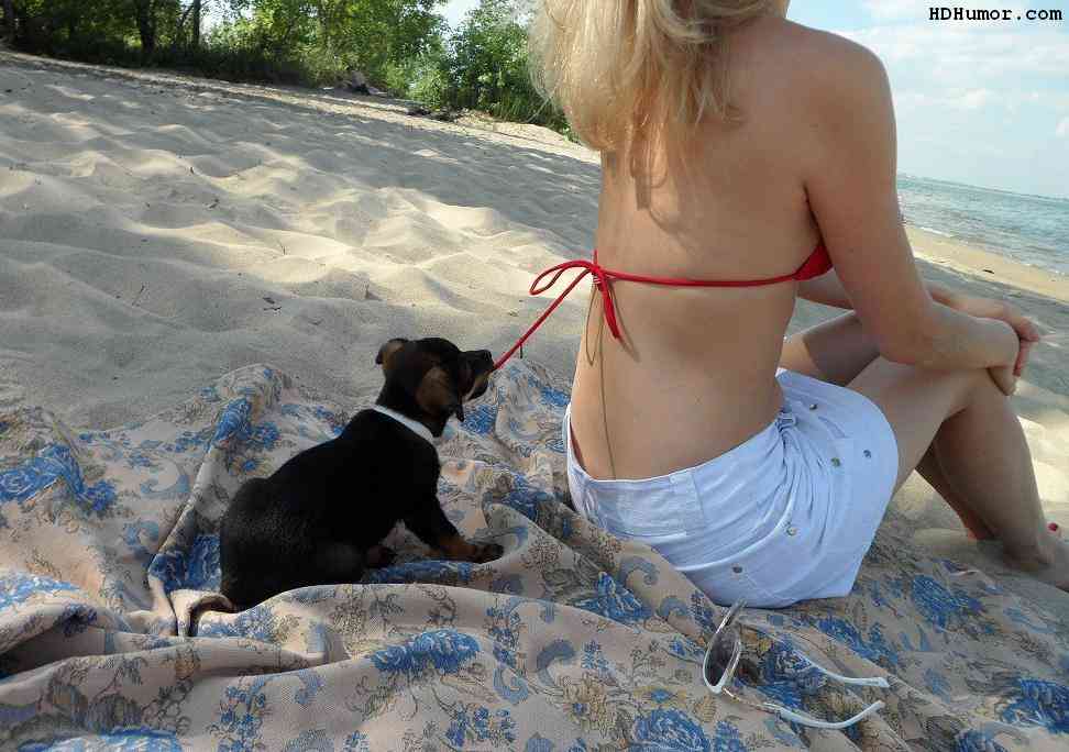 《画像》笑える動物の写真