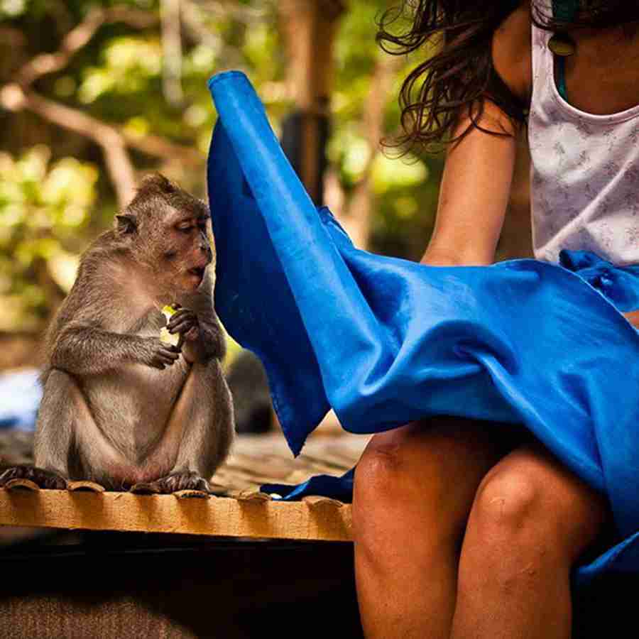 《画像》笑える動物の写真