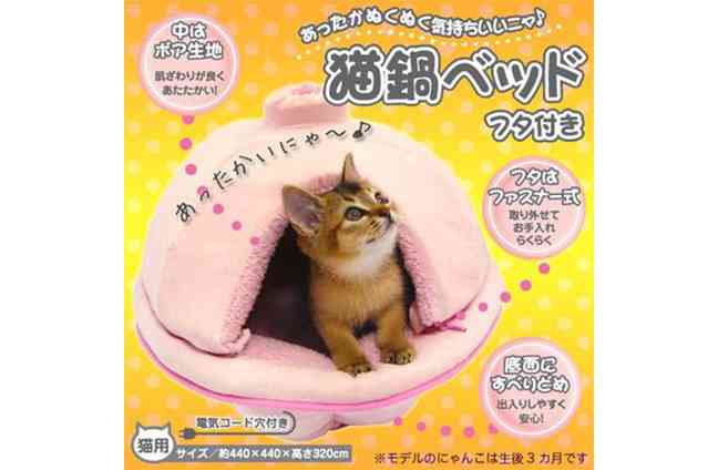 ガルちゃん忘年会!2015