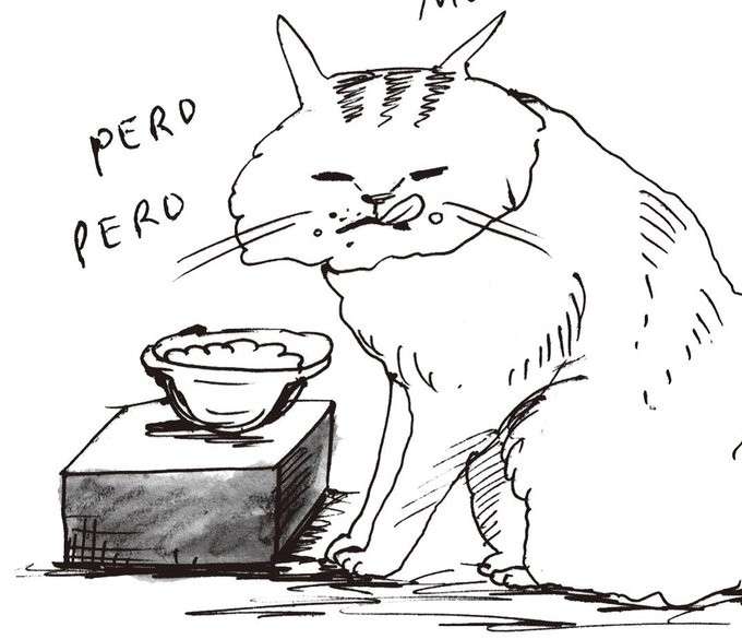 アイスクリームで中毒起こすことも 猫のNGフードとは? | ENTERTAINMENT | ananニュース