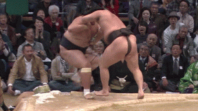 琴奨菊ついに初賜杯！豪栄道破り、10年ぶり日本出身力士優勝