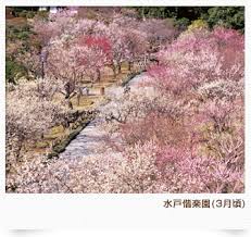 【国内】冬のおすすめ観光地