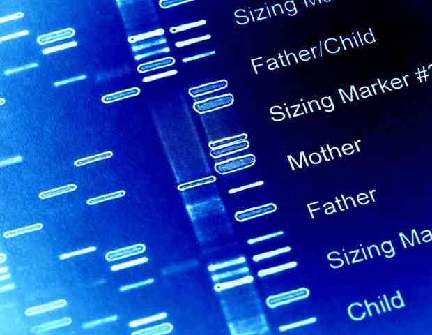 	自閉症児を持つことはほぼ6倍以上の可能性が高い高齢の父親