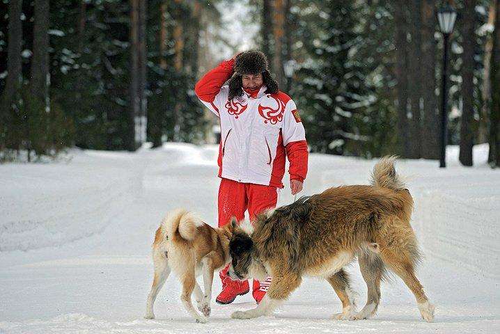 プーチン好きな人、画像貼るトピ