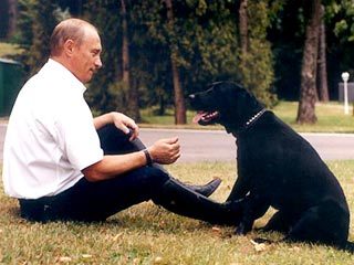 プーチン好きな人、画像貼るトピ