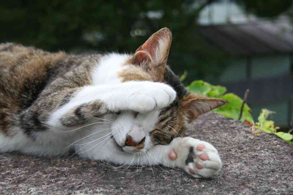 自分なりの健康法