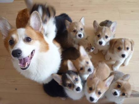 集団でいる画像を貼るトピ