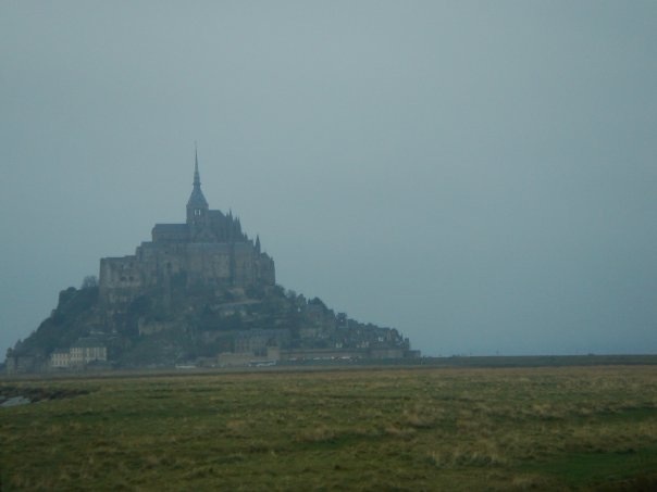 パスポートをもっていない人、その理由は？