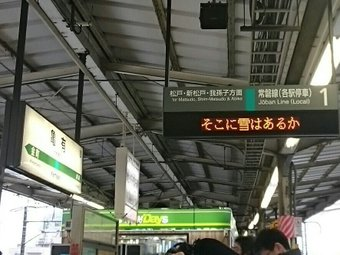ちょっと珍しい画像トピ