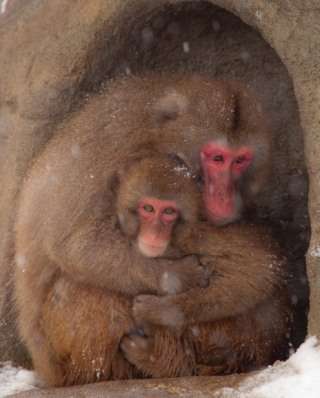 母親の愛情不足で育った方、子育てどうですか？