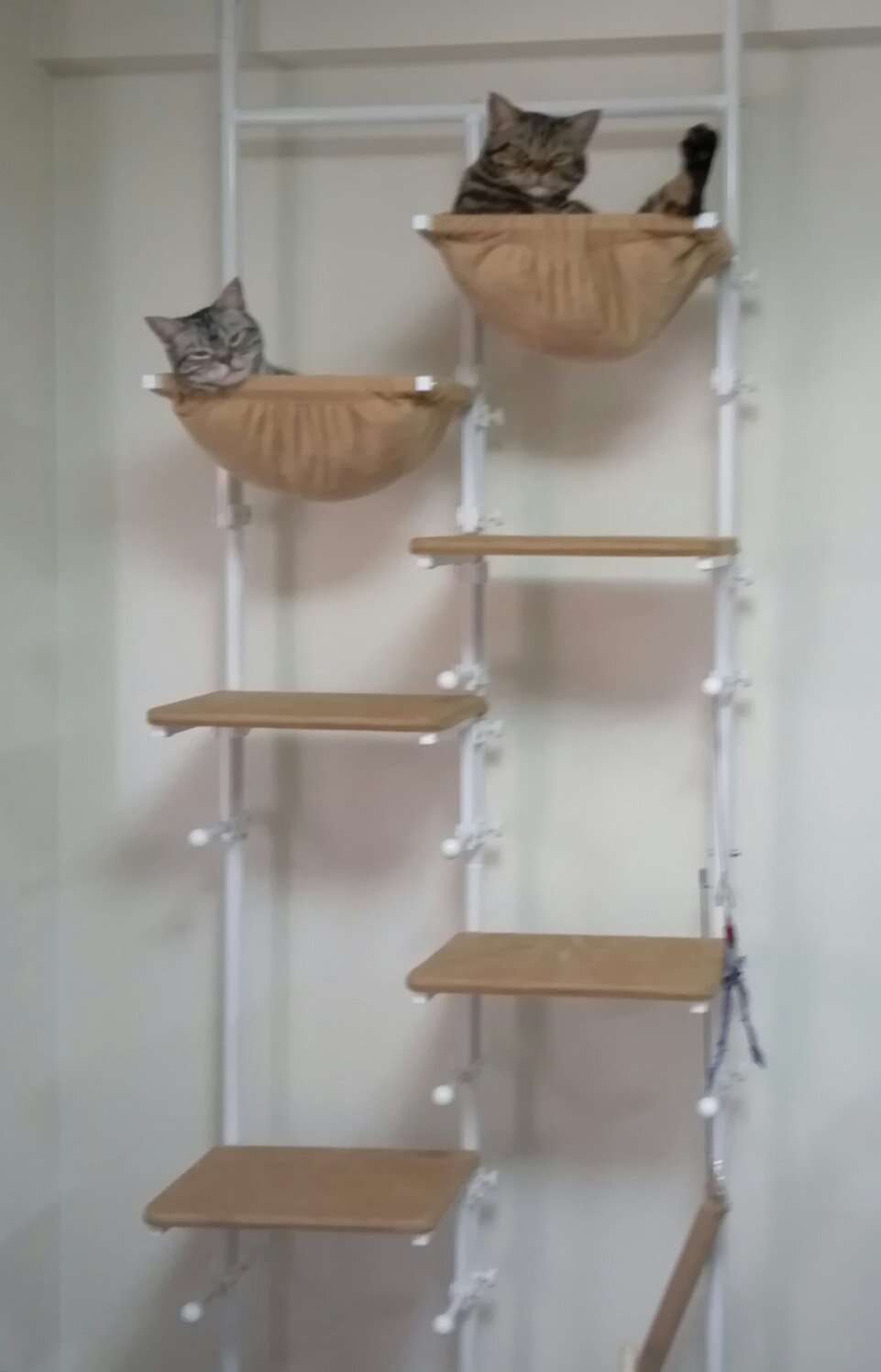 キャットタワーについて