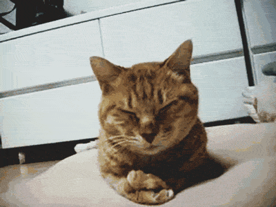 ガルちゃん娯楽室