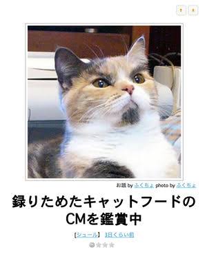 お気に入りのボケてをください
