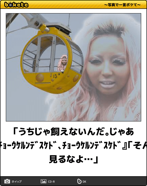 お気に入りのボケてをください