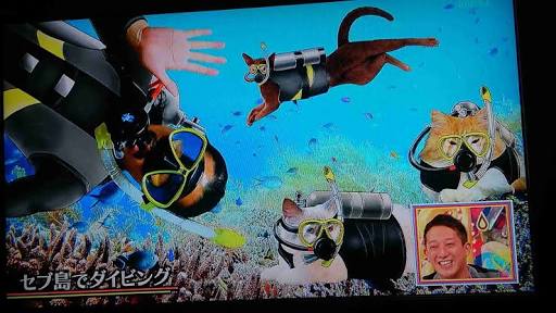 違和感がある画像