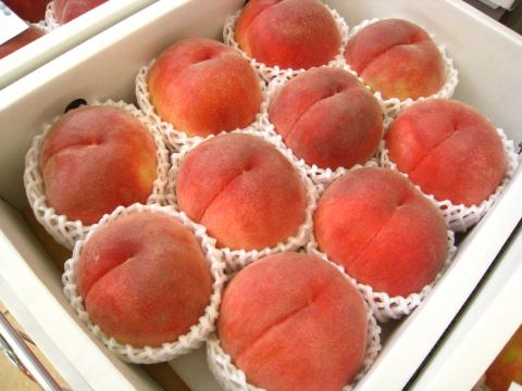 ふるさと納税のおすすめありますか?