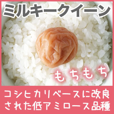 昔取った杵柄