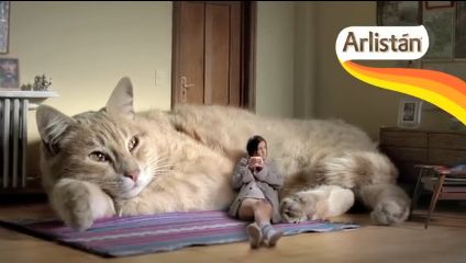 昔取った杵柄