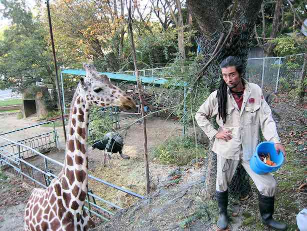 男性+動物の画像を集めよう