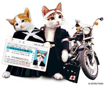 義務教育は私立と公立どっちがいい？
