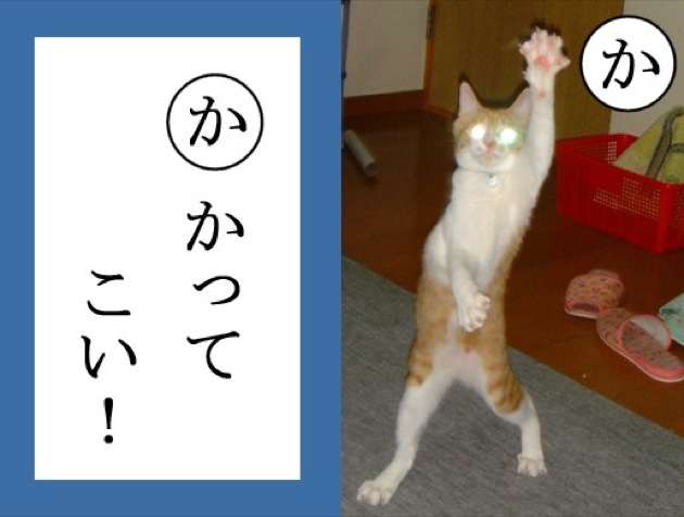 【画像】人間臭い動物鑑賞会