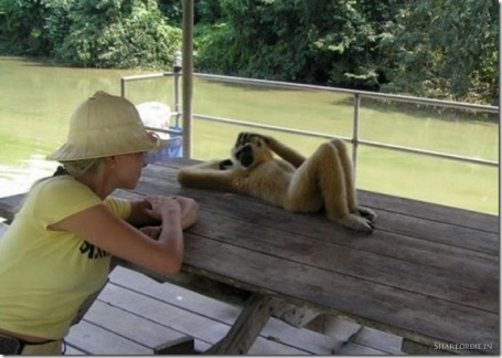 【画像】人間臭い動物鑑賞会