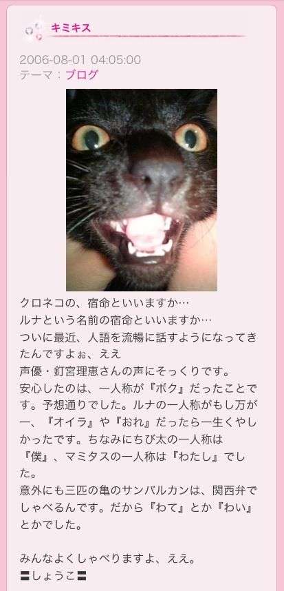 見たら叱りたくなる画像を貼るトピ