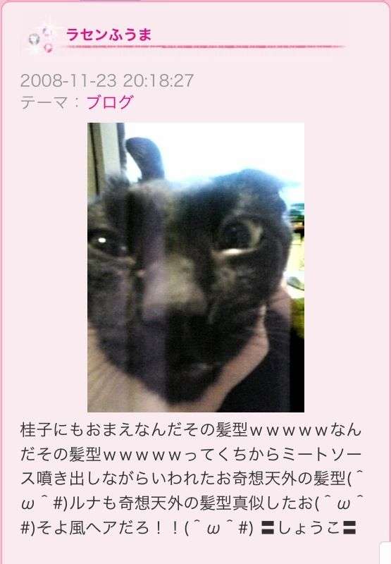 見たら叱りたくなる画像を貼るトピ