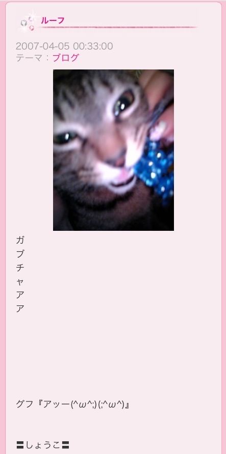 見たら叱りたくなる画像を貼るトピ