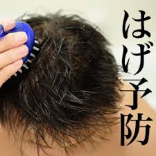 頭皮マッサージやヘアブラシでの刺激は全く効果無し！　むしろ抜け毛に繋がる　ワカメも意味無し