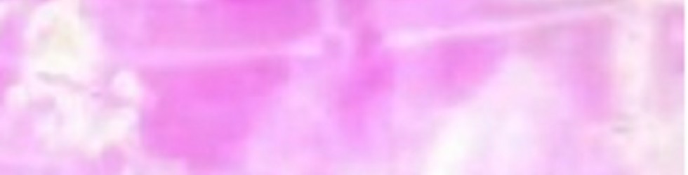 清原容疑者が暴露した大物タレントは誰？次の逮捕者は大物司会者が？ | よろず堂通信