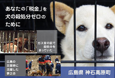 ふるさと納税で、犬の殺処分をゼロに！広島県神石高原町