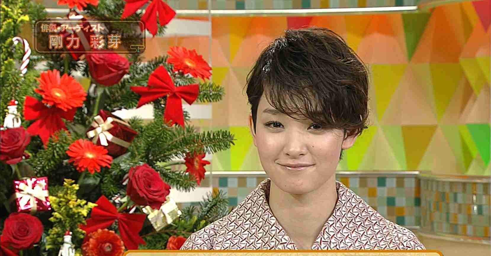 剛力彩芽が初の母親&医師役、いじめられるシーンもドM根性で「大丈夫です」