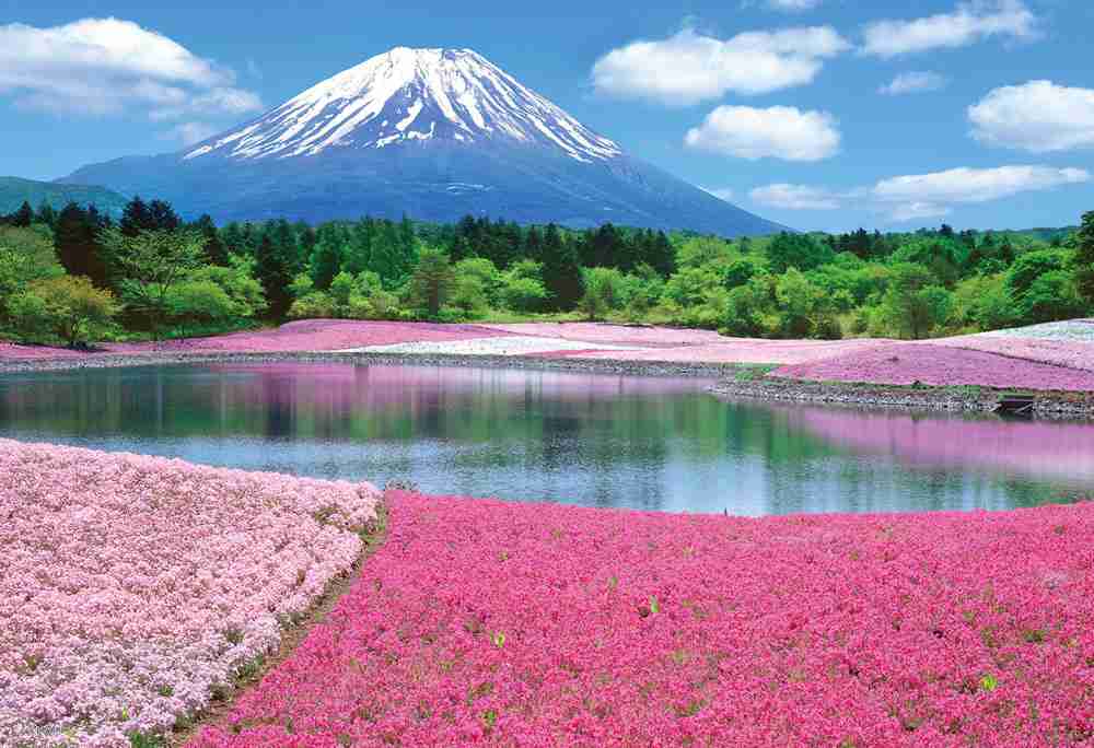 和の画像が集まるトピ