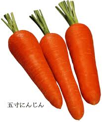 言葉の語感から別のものを想像するトピ